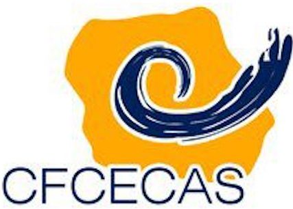 Logo of CFECECAS